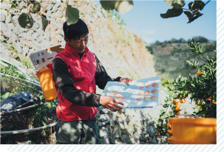 狩浜段々畑ツアー