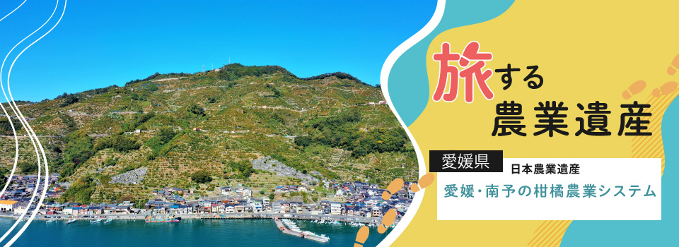 愛媛県 日本農業遺産 愛媛・南予の柑橘農業システム