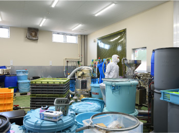 2022年に建て替えた新工場