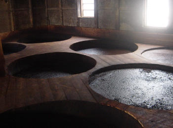 木桶が並ぶ、もろみ蔵