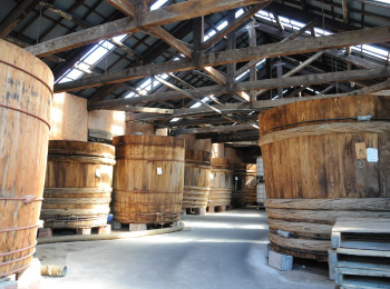 蔵の土壁や梁、木桶に住み着く微生物がその蔵元特有の生態系を作り出す