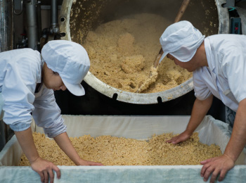 蒸した大豆に麹と塩を混ぜ合わせる工程