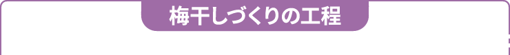 梅干しづくりの工程