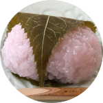 観るだけじゃない桜の魅力