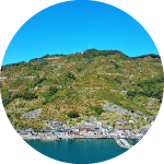 旅する農業遺産 愛媛県：愛媛・南予の柑橘農業システム