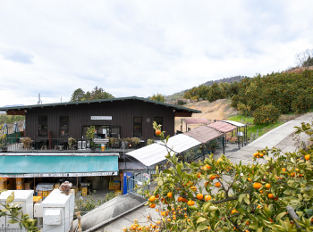 観音山フルーツパーラー総本店