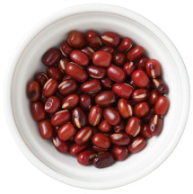 エリモショウズ