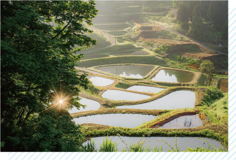 山古志（やまこし）の棚田・棚池