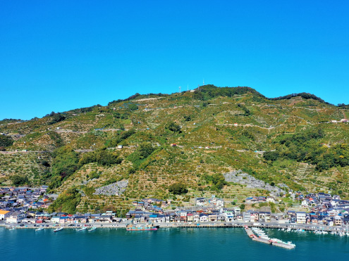 愛媛県:愛媛・南予の柑橘農業システム