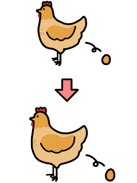 にわとり　たまご