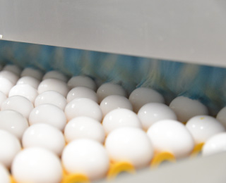 ［2］洗卵（洗浄）