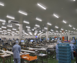 ［5］サイズ計量判別（格付け）・包装