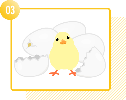 新鮮なたまごを届けてくれるニワトリ