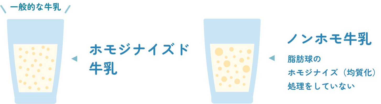 ノンホモ牛乳とホモジナイズド牛乳の違いの図
