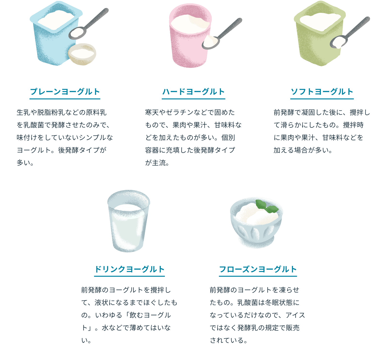 プレーンヨーグルト/ハードヨーグルト/ソフトヨーグルト/ドリンクヨーグルト/フローズンヨーグルト