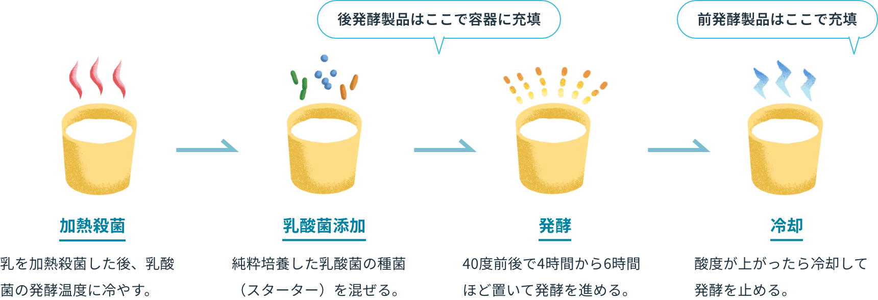 加熱殺菌→乳酸菌添加→発酵→冷却