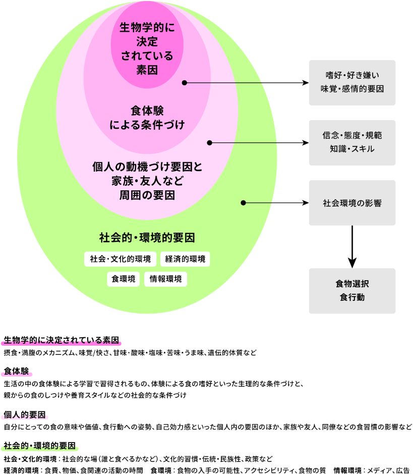 食物選択と食行動に影響するさまざまな要因の図