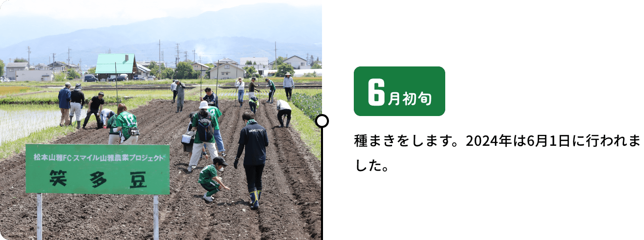 6月初旬 種まきをします。2024年は6月1日に行われました。