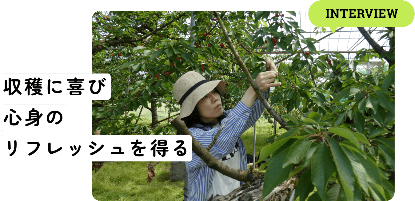 収穫に喜び心身のリフレッシュを得る