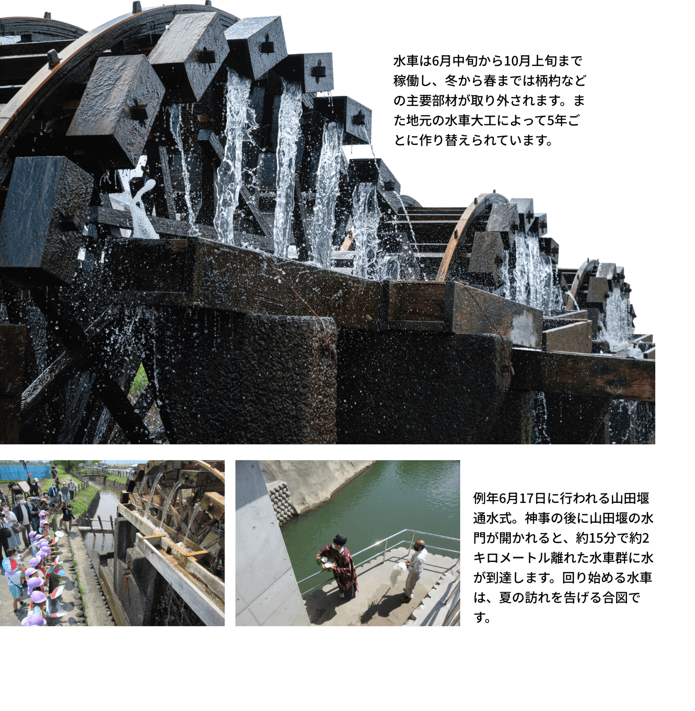 水車は6月中旬から10月上旬まで稼働し、冬から春までは柄杓などの主要部材が取り外されます。また地元の水車大工によって5年ごとに作り替えられています。例年6月17日に行われる山田堰通水式。神事の後に山田堰の水門が開かれると、約15分で約2キロメートル離れた水車群に水が到達します。回り始める水車は、夏の訪れを告げる合図です。