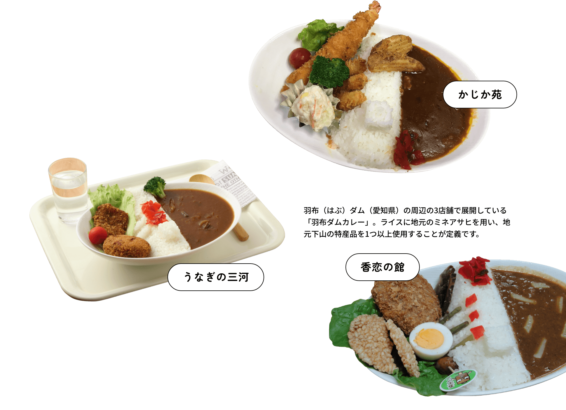 羽布（はぶ）ダム（愛知県）の周辺の3店舗で展開している「羽布ダムカレー」。ライスに地元のミネアサヒを用い、地元下山の特産品を1つ以上使用することが定義です。