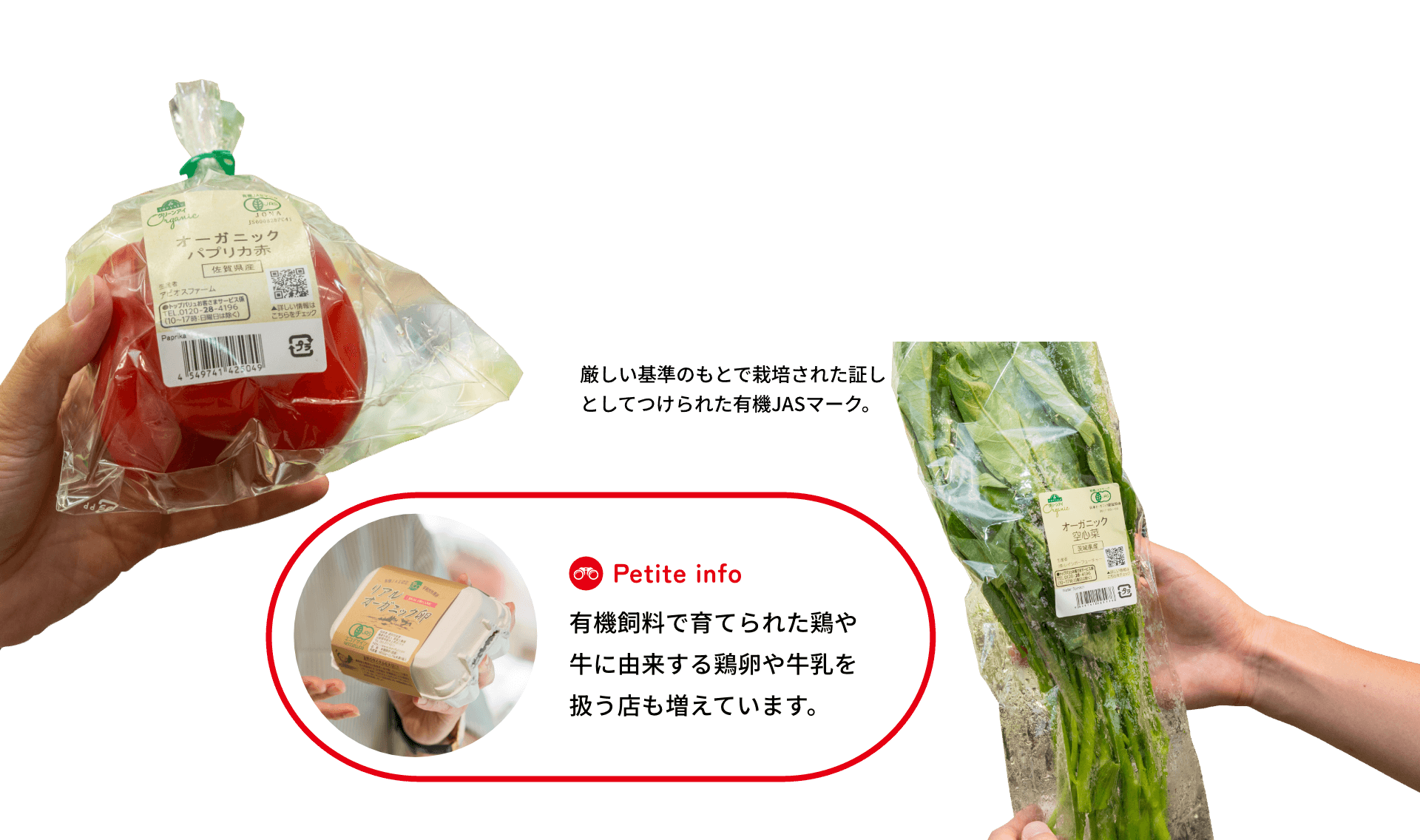 厳しい基準のもとで栽培された証しとしてつけられた有機JASマーク。有機飼料で育てられた鶏や牛に由来する鶏卵や牛乳を扱う店も増えています。