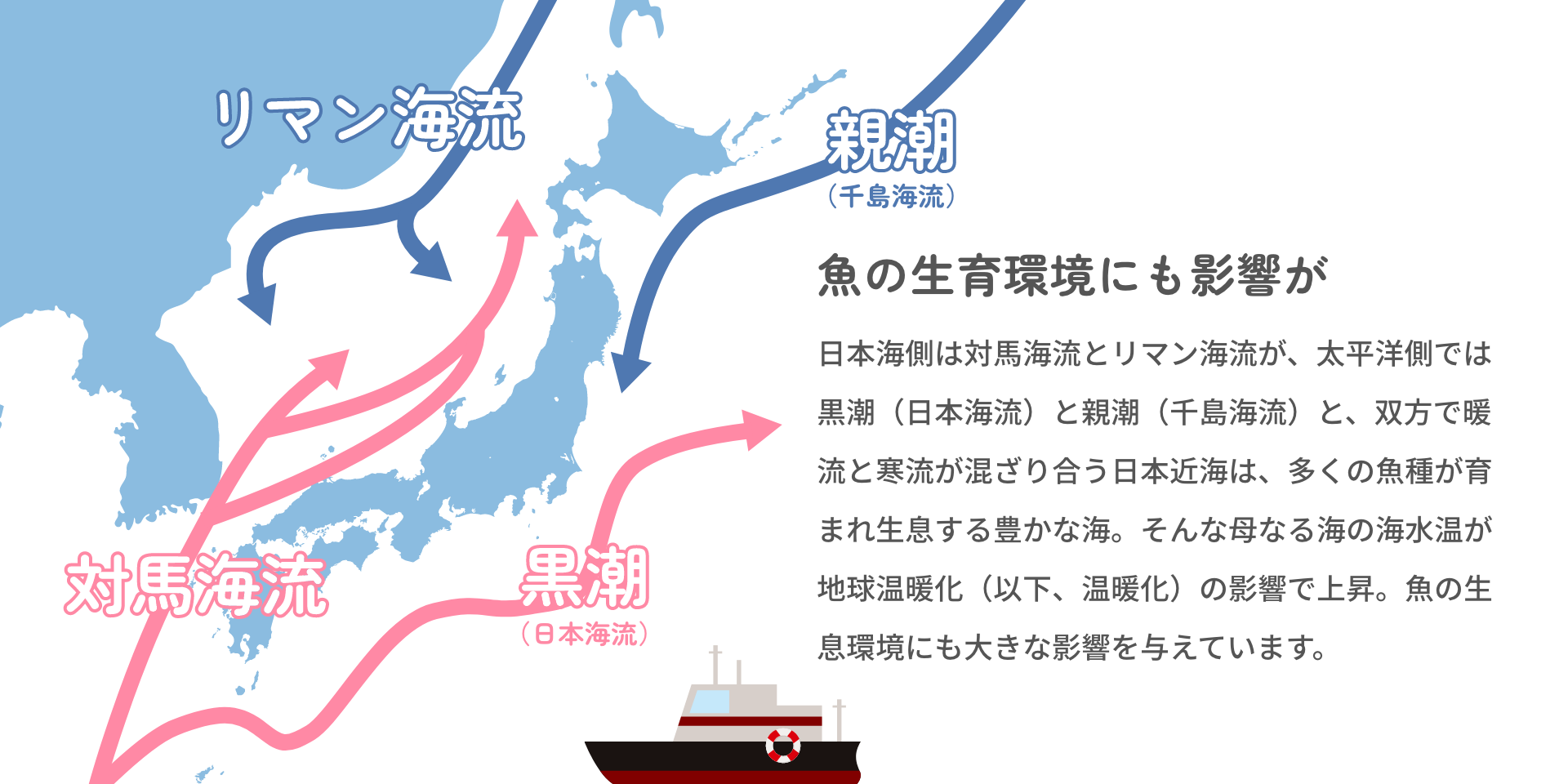魚の生育環境にも影響が 日本海側は対馬海流とリマン海流が、太平洋側では黒潮（日本海流）と親潮（千島海流）と、双方で暖流と寒流が混ざり合う日本近海は、多くの魚種が育まれ生息する豊かな海。そんな母なる海の海水温が地球温暖化（以下、温暖化）の影響で上昇。魚の生息環境にも大きな影響を与えています。