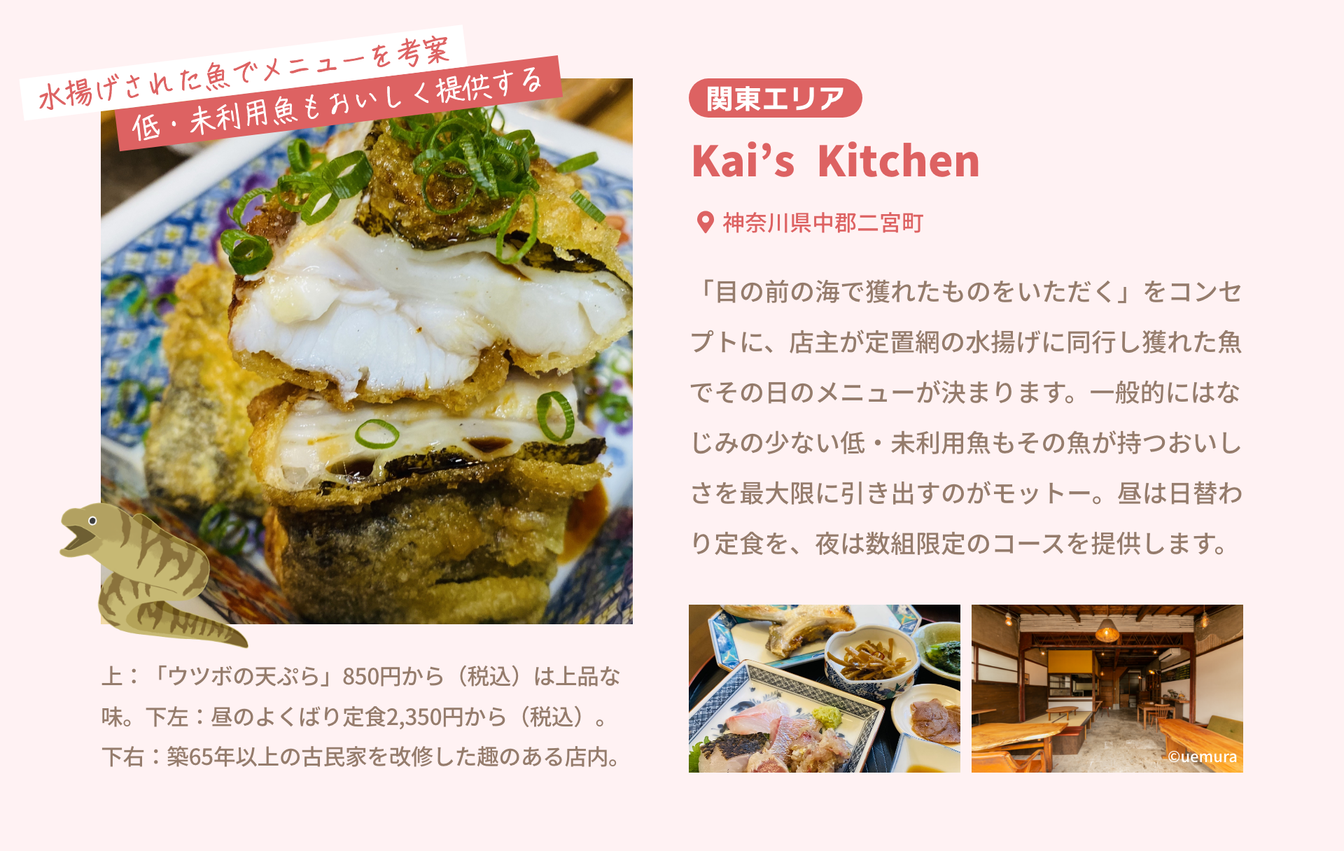 関東エリア Kai’s Kitchen 神奈川県中郡二宮町|「目の前の海で獲れたものをいただく」をコンセプトに、店主が定置網の水揚げに同行し獲れた魚でその日のメニューが決まります。一般的にはなじみの少ない低・未利用魚もその魚が持つおいしさを最大限に引き出すのがモットー。昼は日替わり定食を、夜は数組限定のコースを提供します。|水揚げされた魚でメニューを考案 低・未利用魚もおいしく提供する|上：「ウツボの天ぷら」850円から（税込）は上品な味。下左：昼のよくばり定食2,350円から（税込）。下右：築65年以上の古民家を改修した趣のある店内。