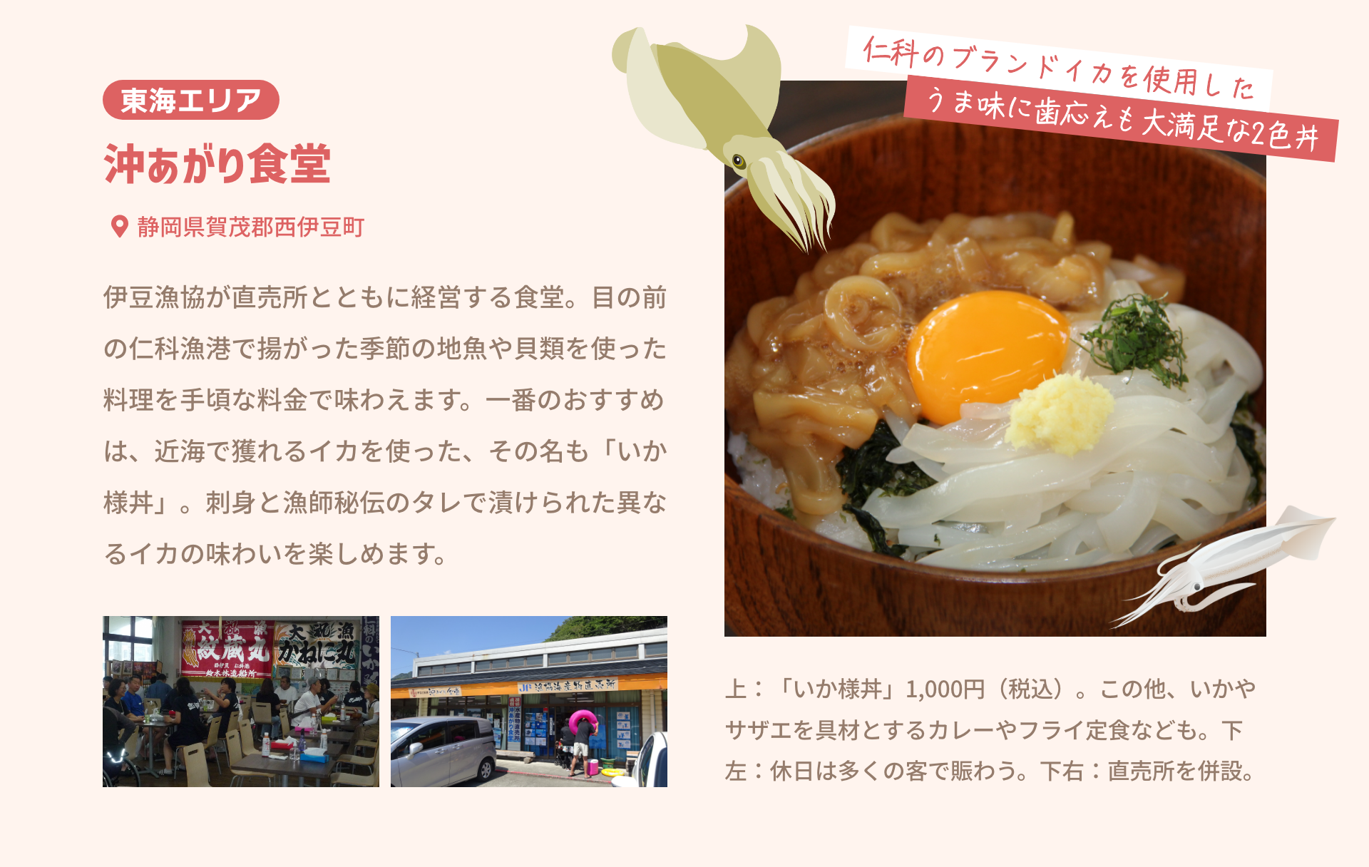 東海エリア 沖あがり食堂 静岡県賀茂郡西伊豆町|伊豆漁協が直売所とともに経営する食堂。目の前の仁科漁港で揚がった季節の地魚や貝類を使った料理を手頃な料金で味わえます。一番のおすすめは、近海で獲れるイカを使った、その名も「いか様丼」。刺身と漁師秘伝のタレで漬けられた異なるイカの味わいを楽しめます。|仁科のブランドイカを使用したうま味に歯応えも大満足な2色丼|上：「いか様丼」1,000円（税込）。この他、いかやサザエを具材とするカレーやフライ定食なども。下左：休日は多くの客で賑わう。下右：直売所を併設。
