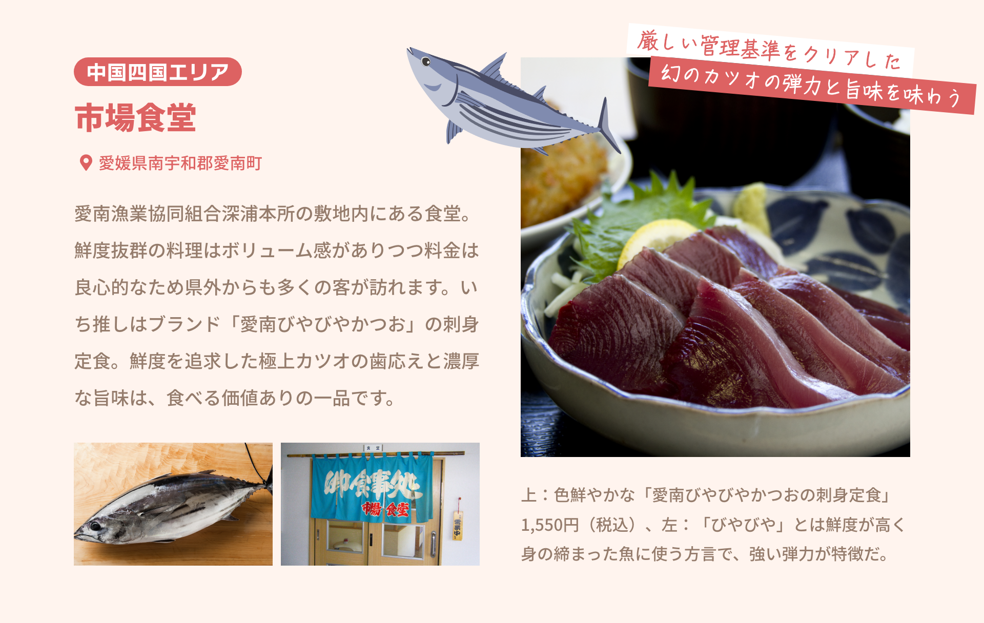 中国四国エリア 市場食堂 愛媛県南宇和郡愛南町|愛南漁業協同組合深浦本所の敷地内にある食堂。鮮度抜群の料理はボリューム感がありつつ料金は良心的なため県外からも多くの客が訪れます。いち推しはブランド「愛南びやびやかつお」の刺身定食。鮮度を追求した極上カツオの歯応えと濃厚な旨味は、食べる価値ありの一品です。|厳しい管理基準をクリアした幻のカツオの弾力と旨味を味わう|上：色鮮やかな「愛南びやびやかつおの刺身定食」1,550円（税込）、左：「びやびや」とは鮮度が高く身の締まった魚に使う方言で、強い弾力が特徴だ。