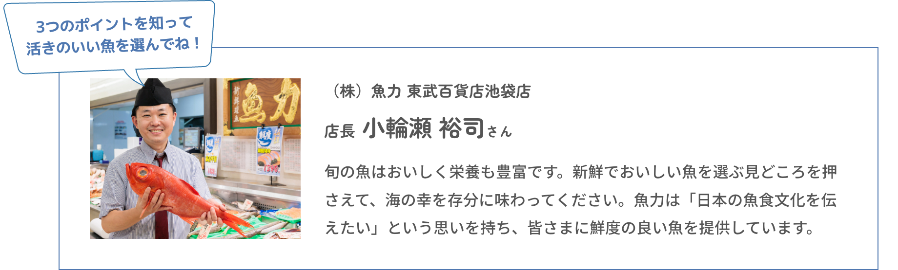 3つのポイントを知って活きのいい魚を選んでね！|（株）魚力 東武百貨店池袋店|店長 小輪瀬 裕司さん|旬の魚はおいしく栄養も豊富です。新鮮でおいしい魚を選ぶ見どころを押さえて、海の幸を存分に味わってください。魚力は「日本の魚食文化を伝えたい」という思いを持ち、皆さまに鮮度の良い魚を提供しています。