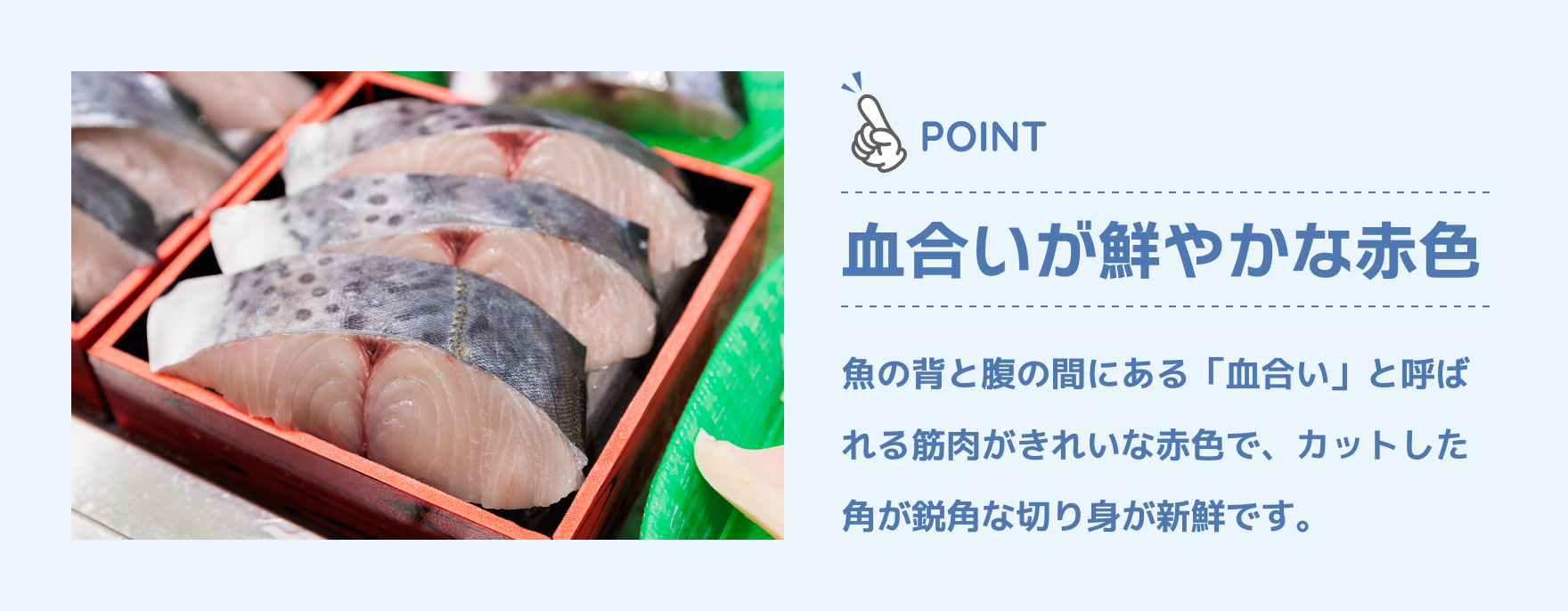 POINT|血合いが鮮やかな赤色|魚の背と腹の間にある「血合い」と呼ばれる筋肉がきれいな赤色で、カットした角が鋭角な切り身が新鮮です。