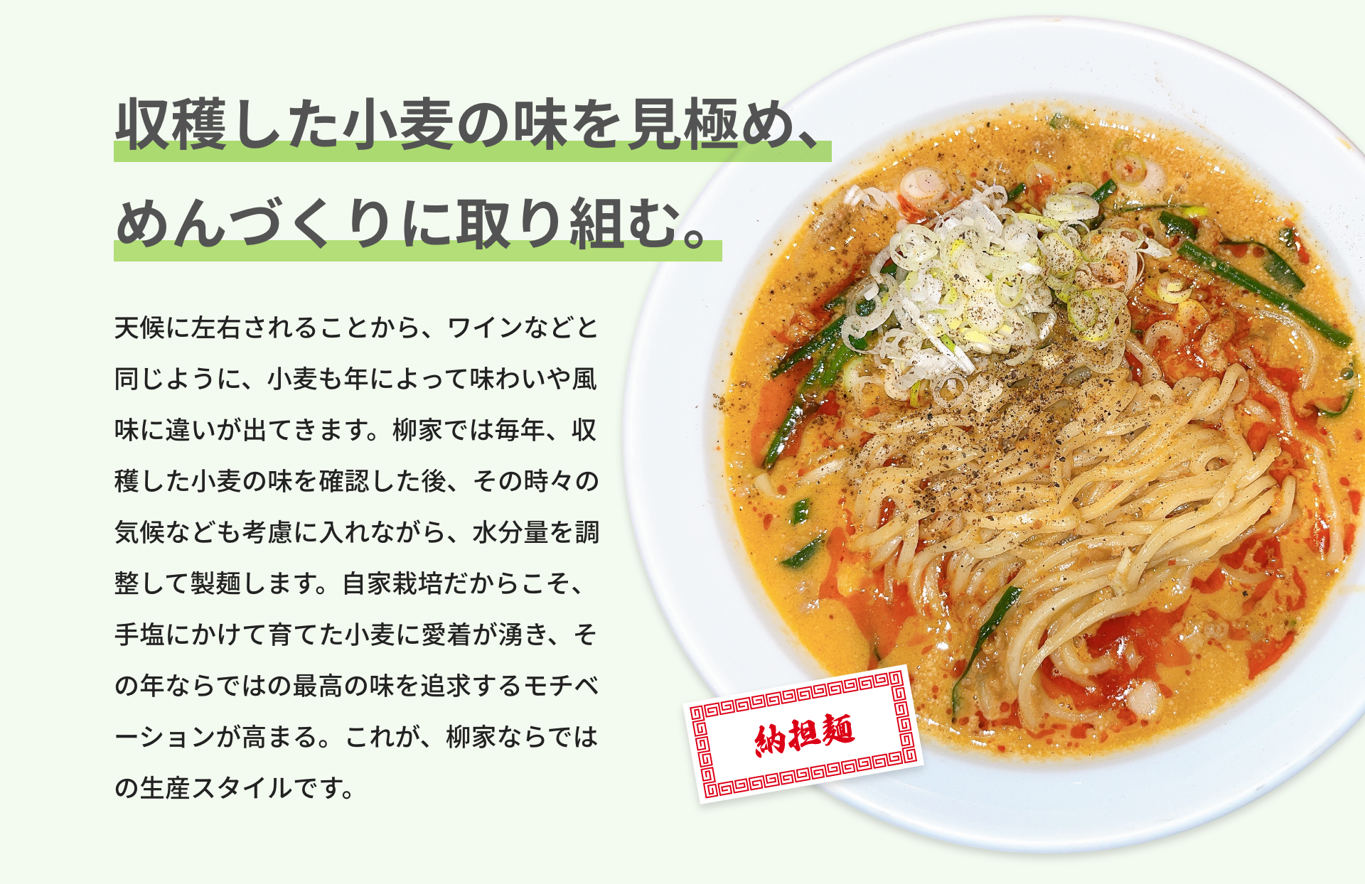 収穫した小麦の味を見極め、めんづくりに取り組む。｜天候に左右されることから、ワインなどと同じように、小麦も年によって味わいや風味に違いが出てきます。柳家では毎年、収穫した小麦の味を確認した後、その時々の気候なども考慮に入れながら、水分量を調整して製麺します。自家栽培だからこそ、手塩にかけて育てた小麦に愛着が湧き、その年ならではの最高の味を追求するモチベーションが高まる。これが、柳家ならではの生産スタイルです。