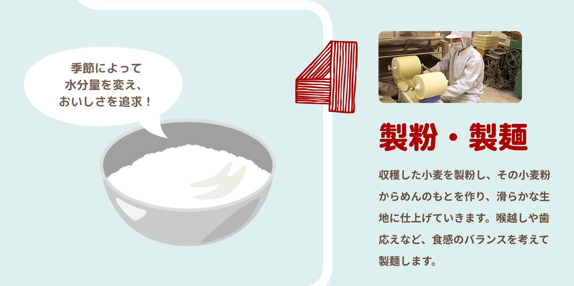 製粉・製麺｜収穫した小麦を製粉し、その小麦粉からめんのもとを作り、滑らかな生地に仕上げていきます。喉越しや歯応えなど、食感のバランスを考えて製麺します。｜季節によって水分量を変え、おいしさを追求！