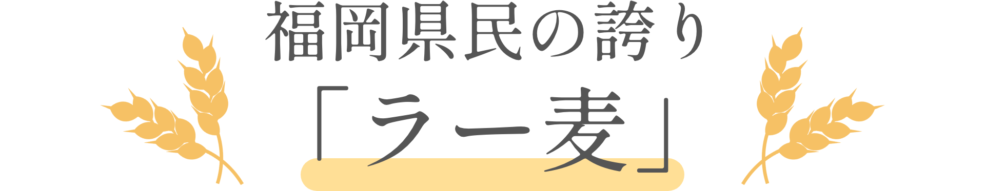福岡県民の誇り「ラー麦」