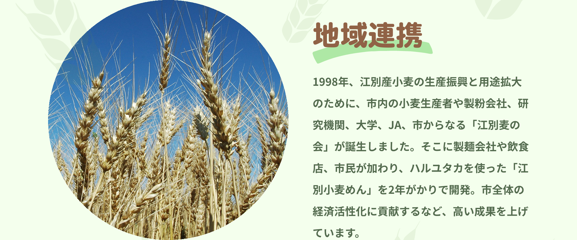 地域連携｜1998年、江別産小麦の生産振興と用途拡大のために、市内の小麦生産者や製粉会社、研究機関、大学、JA、市からなる「江別麦の会」が誕生しました。そこに製麺会社や飲食店、市民が加わり、ハルユタカを使った「江別小麦めん」を2年がかりで開発。市全体の経済活性化に貢献するなど、高い成果を上げています。