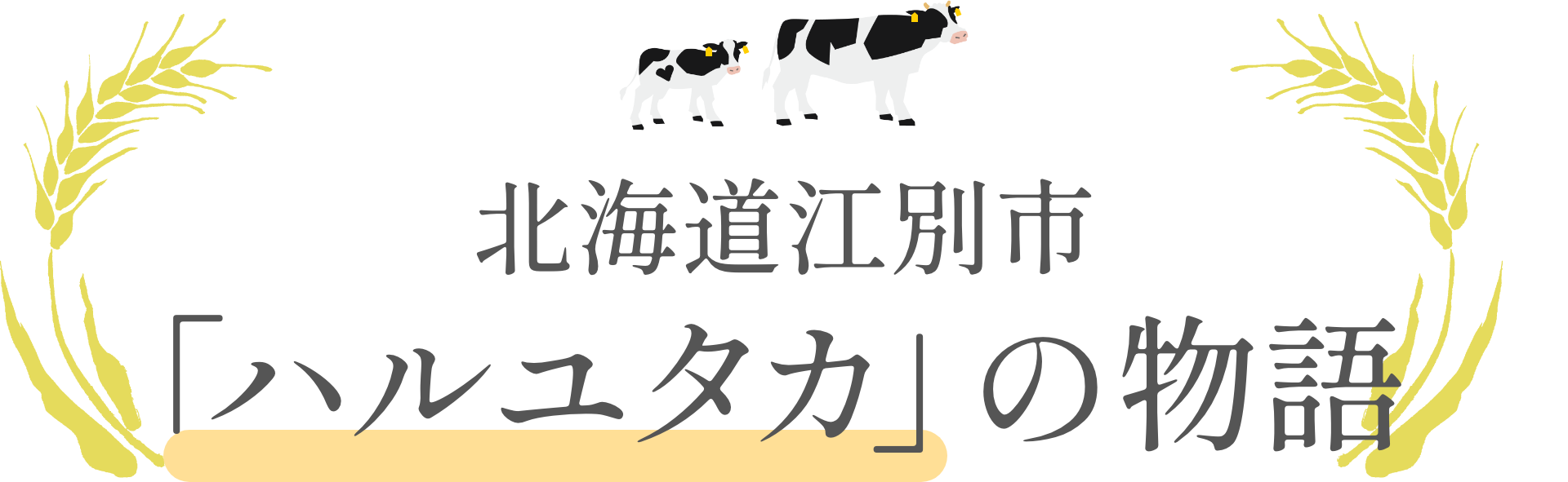 北海道江別市「ハルユタカ」の物語