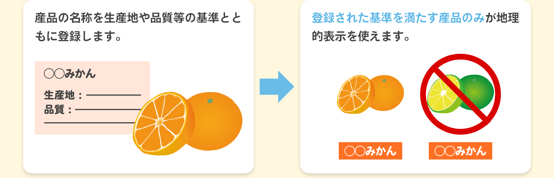 産品の名称を生産地や品質等の基準とともに登録します。|登録された基準を満たす産品のみが地理的表示を使えます。