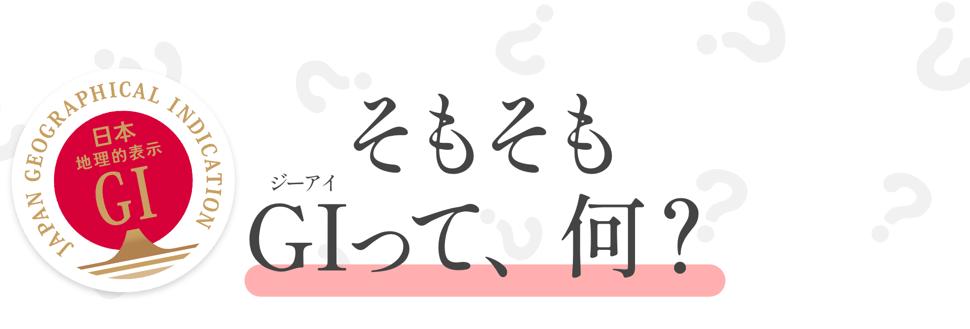 そもそもGI（ジーアイ）って、何？