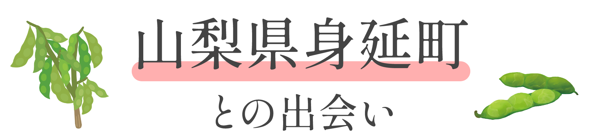 山梨県身延町との出会い