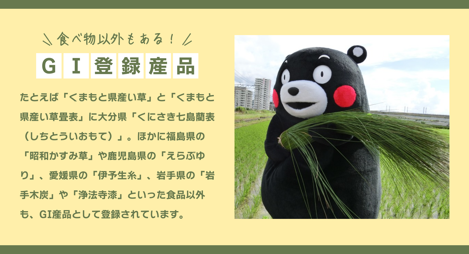 食べ物以外もある！｜GI登録産品｜たとえば「くまもと県産い草」と「くまもと県産い草畳表」に大分県「くにさき七島藺表（しちとういおもて）」。ほかに福島県の「昭和かすみ草」や鹿児島県の「えらぶゆり」、愛媛県の「伊予生糸」、岩手県の「岩手木炭」や「浄法寺漆」といった食品以外も、GI産品として登録されています。