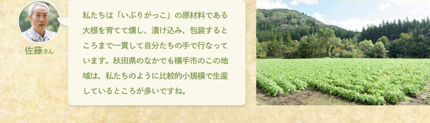 佐藤さん：私たちは「いぶりがっこ」の原材料である大根を育てて燻し、漬け込み、包装するところまで一貫して自分たちの手で行なっています。秋田県のなかでも横手市のこの地域は、私たちのように比較的小規模で生産しているところが多いですね。