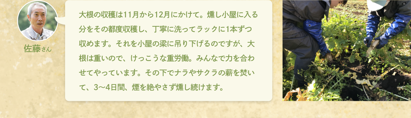 佐藤さん：大根の収穫は11月から12月にかけて。燻し小屋に入る分をその都度収穫し、丁寧に洗ってラックに1本ずつ収めます。それを小屋の梁に吊り下げるのですが、大根は重いので、けっこうな重労働。みんなで力を合わせてやっています。その下でナラやサクラの薪を焚いて、3～4日間、煙を絶やさず燻し続けます。
