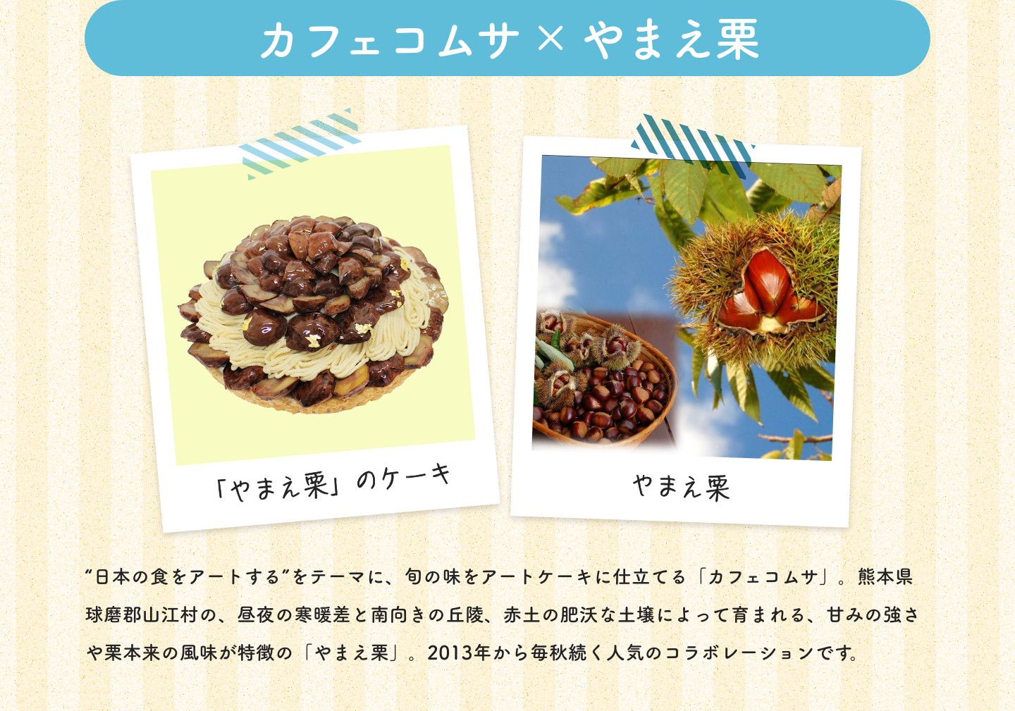 カフェコムサ×やまえ栗|「やまえ栗」のケーキ|やまえ栗|“日本の食をアートする”をテーマに、旬の味をアートケーキに仕立てる「カフェコムサ」。熊本県球磨郡山江村の、昼夜の寒暖差と南向きの丘陵、赤土の肥沃な土壌によって育まれる、甘みの強さや栗本来の風味が特徴の「やまえ栗」。2013年から毎秋続く人気のコラボレーションです。