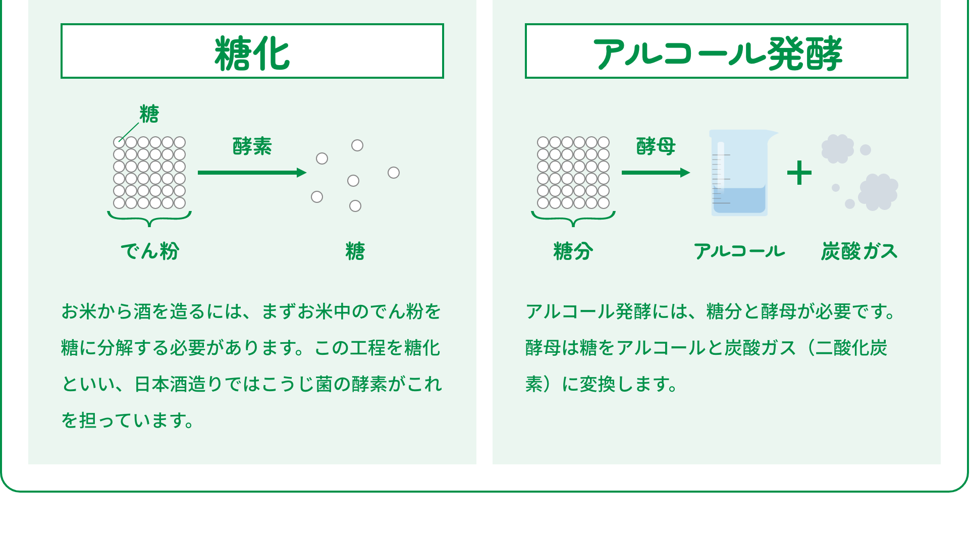 糖化 お米から酒を造るには、まずお米中のでん粉を糖に分解する必要があります。この工程を糖化といい、日本酒造りではこうじ菌の酵素がこれを担っています。｜アルコール発酵 アルコール発酵には、糖分と酵母が必要です。酵母は糖をアルコールと炭酸ガス（二酸化炭素）に変換します。