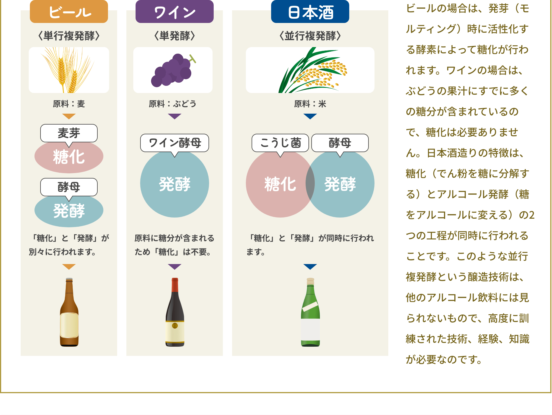 ビールの場合は、発芽（モルティング）時に活性化する酵素によって糖化が行われます。ワインの場合は、ぶどうの果汁にすでに多くの糖分が含まれているので、糖化は必要ありません。日本酒造りの特徴は、糖化（でん粉を糖に分解する）とアルコール発酵（糖をアルコールに変える）の2つの工程が同時に行われることです。このような並行複発酵という醸造技術は、他のアルコール飲料には見られないもので、高度に訓練された技術、経験、知識が必要なのです。