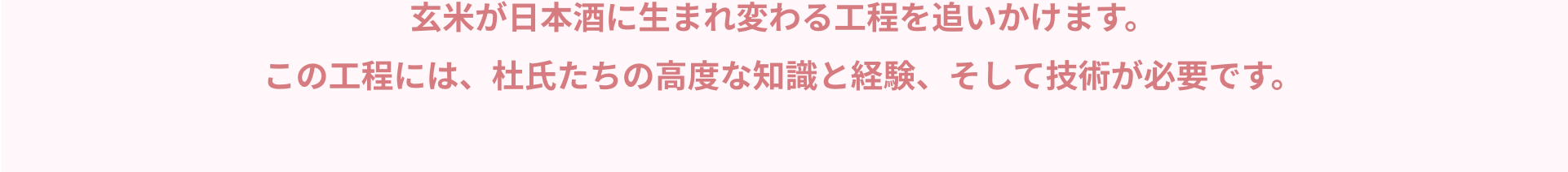 玄米が日本酒に生まれ変わる工程を追いかけます。この工程には、杜氏たちの高度な知識と経験、そして技術が必要です。