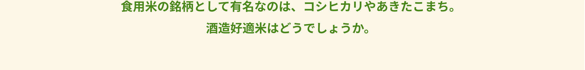 食用米の銘柄として有名なのは、コシヒカリやあきたこまち。酒造好適米はどうでしょうか。