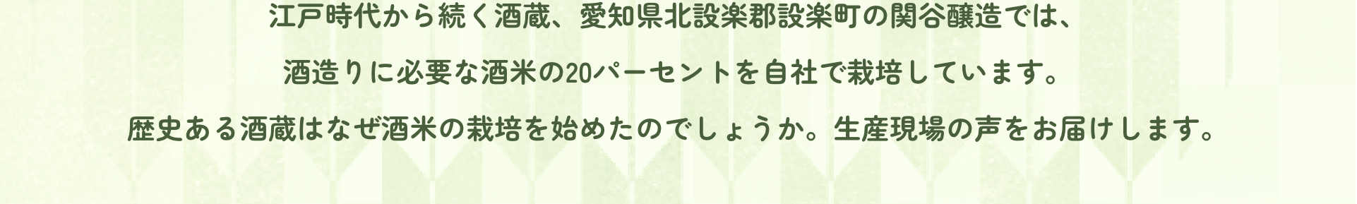 江戸時代から続く酒蔵、愛知県北設楽郡設楽町の関谷醸造では、酒造りに必要な酒米の20パーセントを自社で栽培しています。歴史ある酒蔵はなぜ酒米の栽培を始めたのでしょうか。生産現場の声をお届けします。