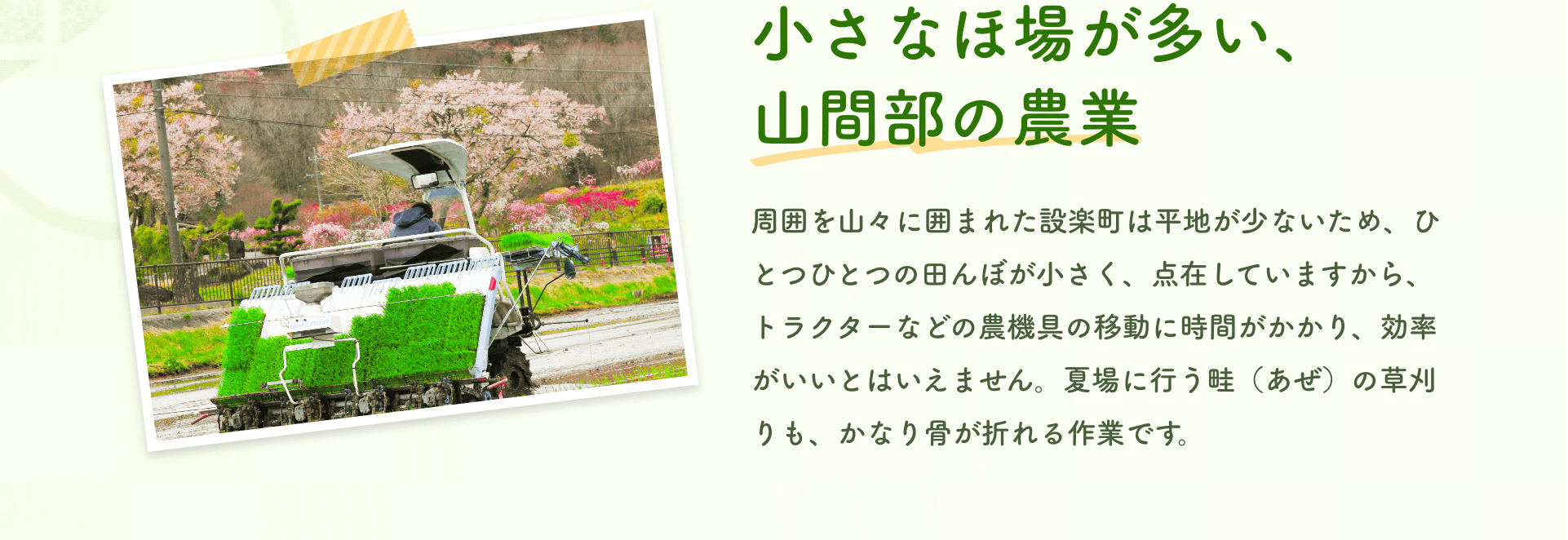 小さなほ場が多い、山間部の農業｜周囲を山々に囲まれた設楽町は平地が少ないため、ひとつひとつの田んぼが小さく、点在していますから、トラクターなどの農機具の移動に時間がかかり、効率がいいとはいえません。夏場に行う畦（あぜ）の草刈りも、かなり骨が折れる作業です。
